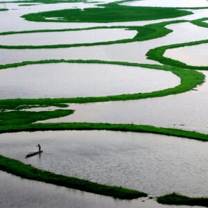 Fisherman on Loktak Lake in Manipur