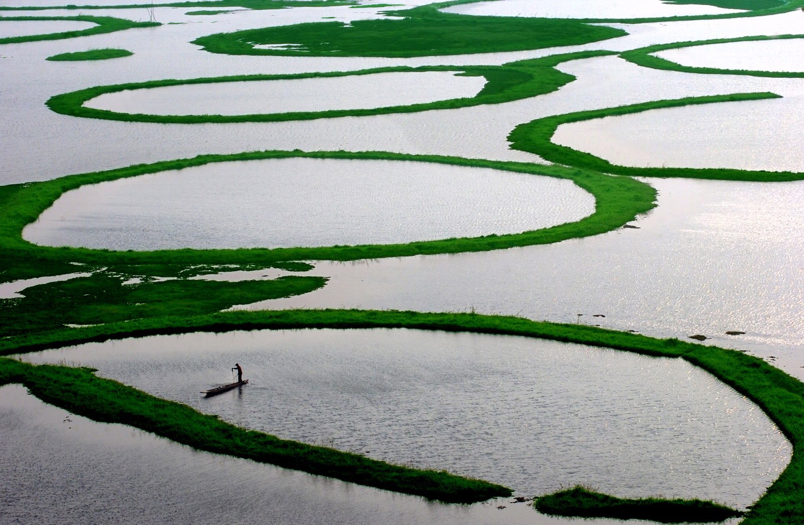 Fisherman on Loktak Lake in Manipur